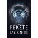 N. Nagy Zoltán: Fekete labirintus