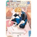 Riddle Kamimura: Az exjakuza és a kóbor cicája 1.