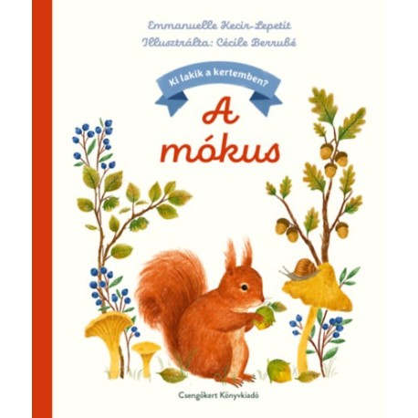 Emmanuelle Kecir-Lepetit: A mókus
