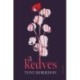 Toni Morrison: A Kedves