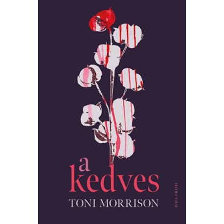 Toni Morrison: A Kedves