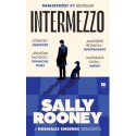 Sally Rooney: Intermezzo - puhatáblás