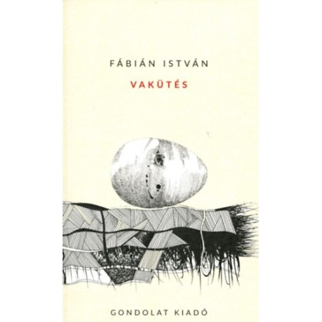 Fábián István: Vakütés