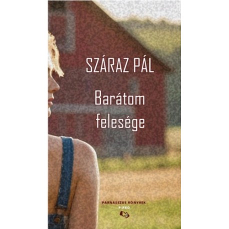 Száraz Pál: Barátom felesége