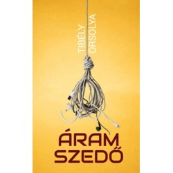 Tibély Orsolya: Áramszedő