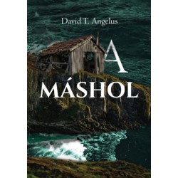 T. Angelus David: A máshol