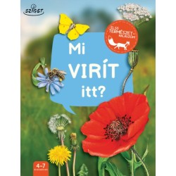 Mi virít itt?