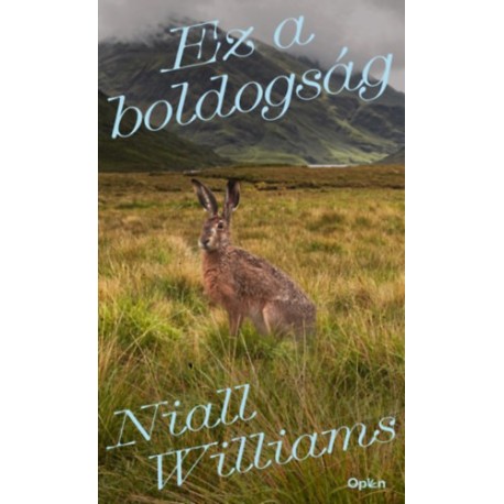 Niall Williams: Ez a boldogság