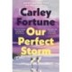 Carley Fortune: Our Perfect Storm - Hardcover