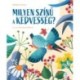 Maddalena Schiavo: Milyen színű a kedvesség?