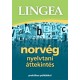 Norvég nyelvtani áttekintés